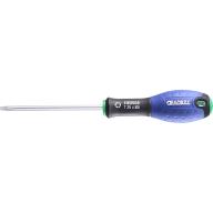 Tournevis TORX Expert T25 5x100