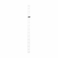 Echelle à câble intérieure 42U pour rack serveur - 100mm