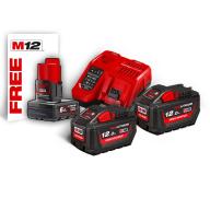 Pack batteries MILWAUKEE 2 batteries 12Ah 18V avec chargeur