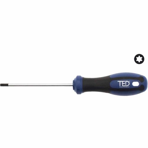 Tournevis TORX TED T20 4x100 - Tournevis
