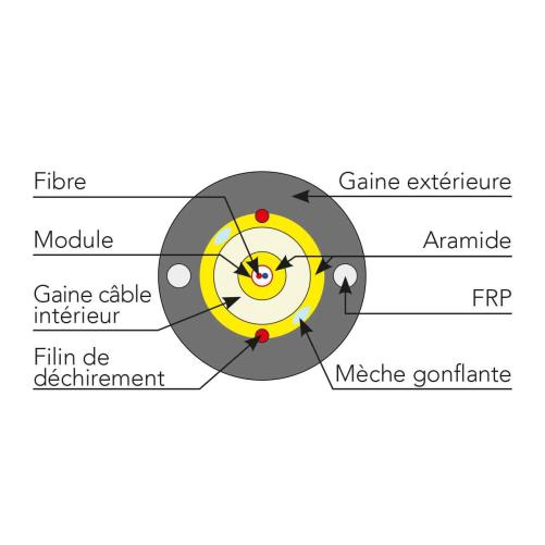 Câble de branchement DROPTIC LM4 - Câble de branchement