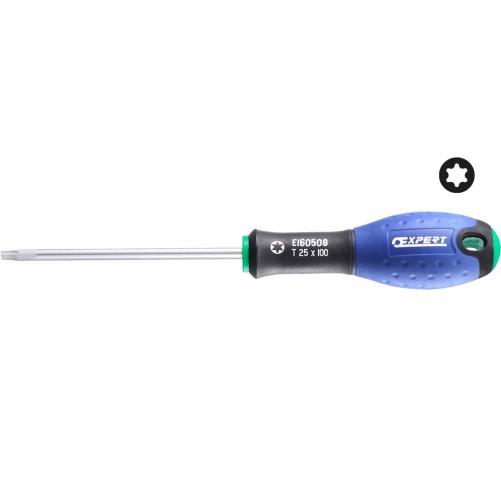 Tournevis TORX T20 4x100 - Tournevis