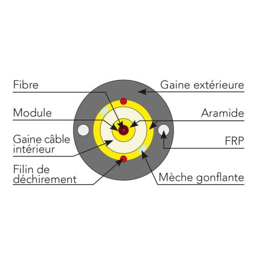 Câble de branchement DROPTIC LM4 - Câble de branchement