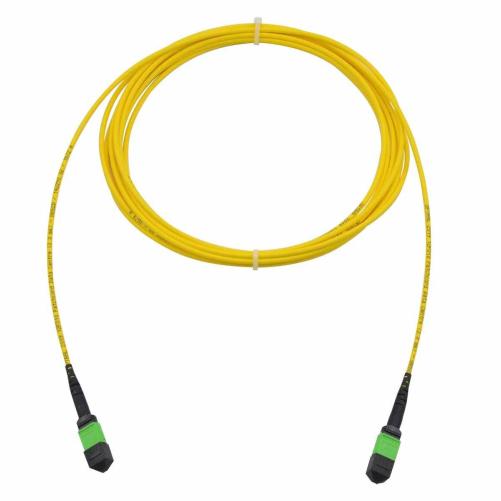 Trunk FO 24FO MTPAF/MTPAF OS2 Po - Trunk optique MTP/MPO